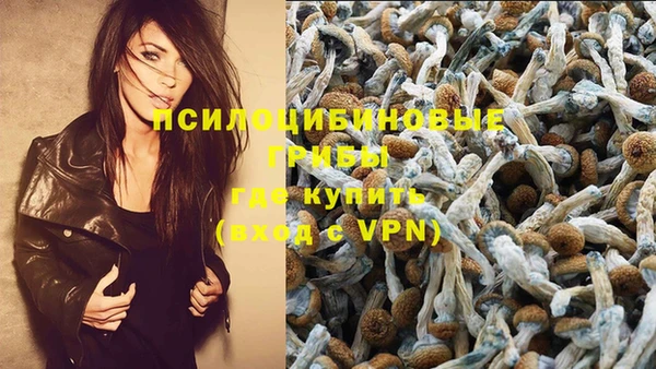 COCAINE Магас