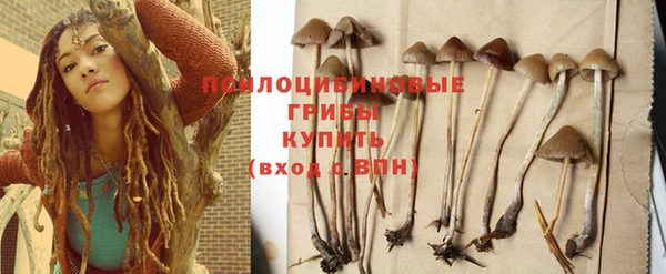 герыч Майский