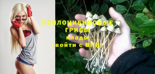 герыч Майский