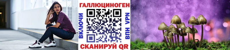 Купить  Октябрьск  Псилоцибиновые грибы мицелий 